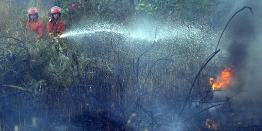 Cegah kebakaran, TNI perketat penjagaan hutan di tiga daerah