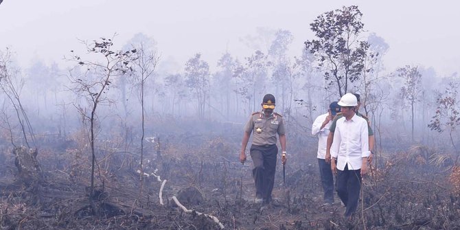 Aksi Jokowi terobos asap kebakaran hutan di Ogan Komering Ilir