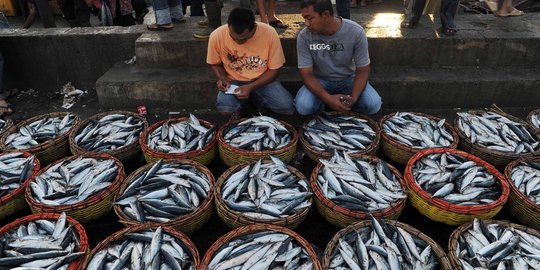 Dampak El Nino, tangkapan ikan harusnya bisa capai 2 juta ton/hari