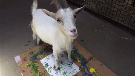 hewan hewan pelukis di oakland zoo