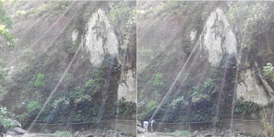 Mengulik misteri penampakan harimau putih di air terjun Madakaripura