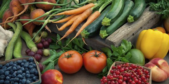 5 jenis diet ini terkenal mampu turunkan berat badan dengan cepat