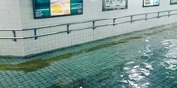 Dunia kagum air banjir di Jepang bening seperti kolam renang