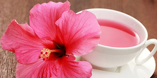 hibiscus rev1