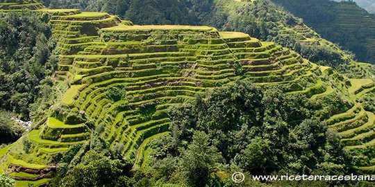 Rizal Ramli prioritaskan pengembangan 10 kawasan pariwisata