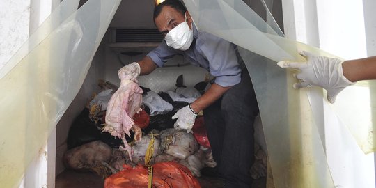 Sidak di 7 tempat pemotongan, polisi sita 1,5 ton ayam berformalin