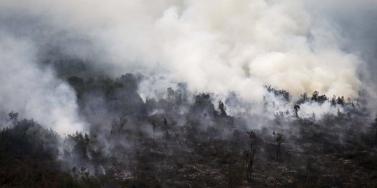 Kebakaran hutan akibat proses hukum yang tak adil