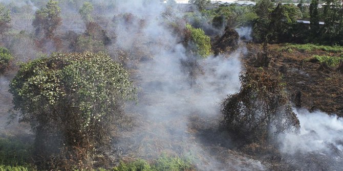 Perusahaan Singapura tak diberi ampun jika bakar hutan Indonesia