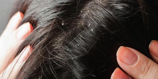 wheatgrass, minuman sehat terbaru yang berasal dari rumput