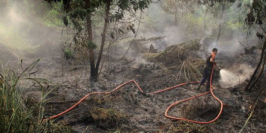 Polri akui kesulitan tangani kasus kebakaran hutan