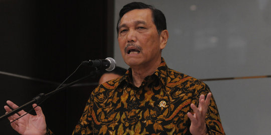 Menko Luhut: Pelaku pembakaran hutan harus ditindak tegas!