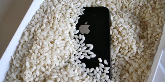 Cuma mitos, beras tak bisa selamatkan smartphone basah tercebur air