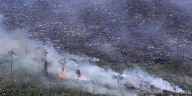 Polisi naikkan status hukum 2 perusahaan terlibat kebakaran hutan