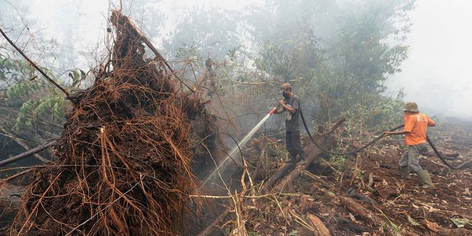 Kisah pekerja kebun kelapa sawit berjibaku padamkan kebakaran hutan