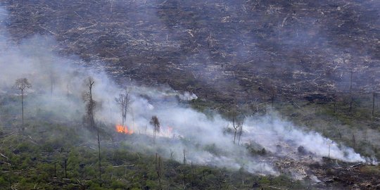 Janji polisi tangkap direktur biang kebakaran hutan omong doang