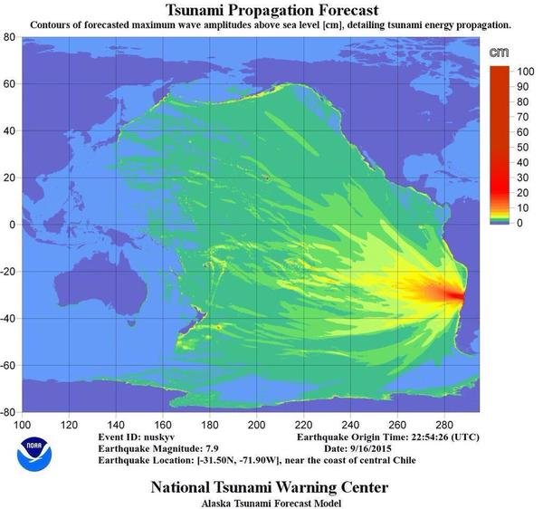 tsunami chili