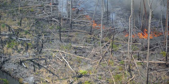Ladang ilalang 10 hektare di Gunung Guntur terbakar