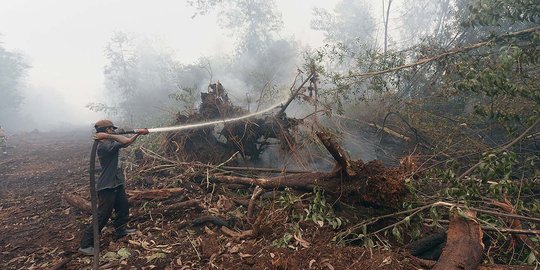 46 Orang jadi tersangka kebakaran lahan dan hutan di Riau