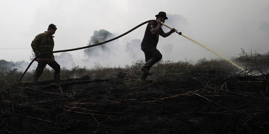 Pemerintah tak pernah agendakan penanaman pohon pascakebakaran hutan