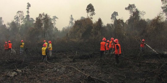 829,1 Hektare hutan di Jabar terbakar akibat kemarau