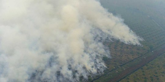 Ini foto mengerikan asap kebakaran hutan Riau dari udara