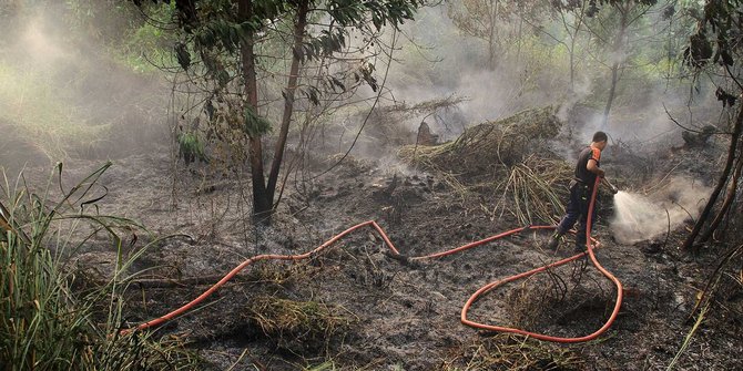 Ini hukuman tegas pemerintah untuk pembakar hutan