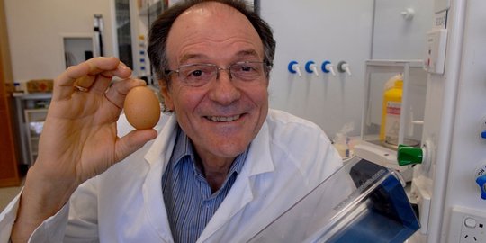 Bisa ubah telur matang jadi mentah, ilmuwan Australia dapat 'Nobel'