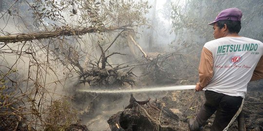 Kementerian LHK gandeng BIN ungkap dalang kebakaran hutan