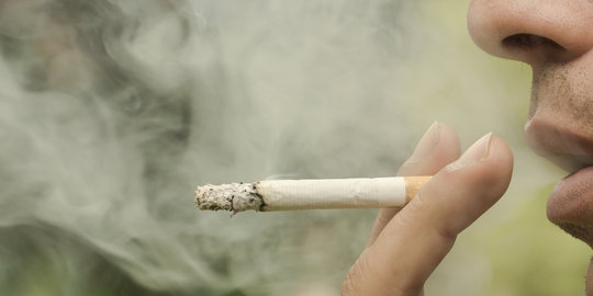 Awas, kebanyakan merokok bisa bikin pikun
