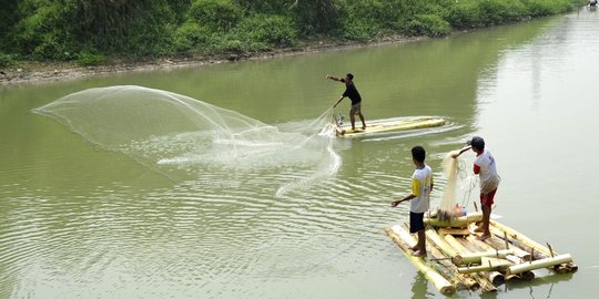 Berkah kemarau bagi pencari ikan di Sungai Cisadane