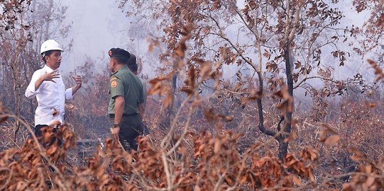 Ancaman keras Jokowi-JK bikin pembakar hutan takut?