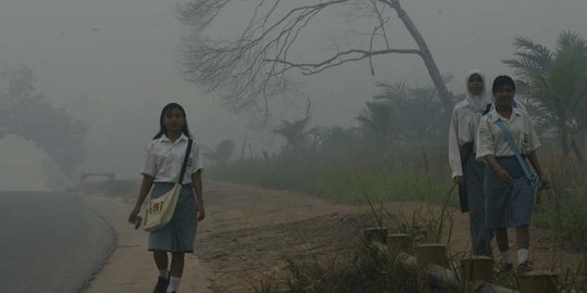 Pengusaha sawit tak terima dituding jadi biang keladi pembakar hutan