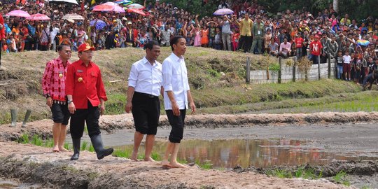 JK wacanakan impor beras, mentan tunggu instruksi Presiden Jokowi