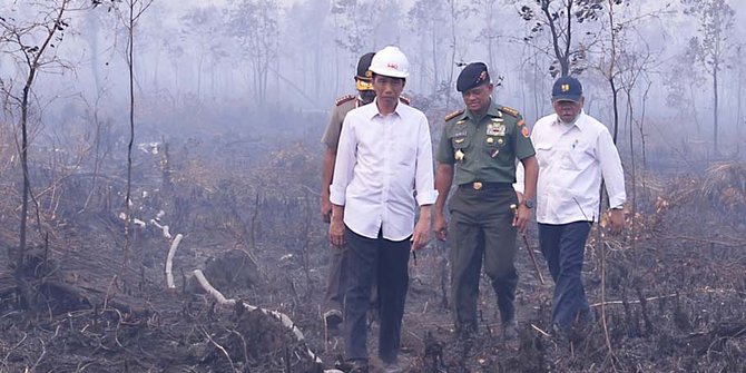 Image result for kebakaran hutan jokowi