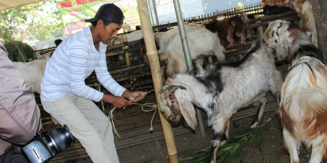 Harga barang naik, pedagang hewan kurban ngaku sepi 