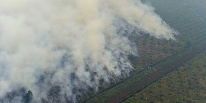 Perusahaan sawit Singapura kembali diduga bakar lahan di Sumatera