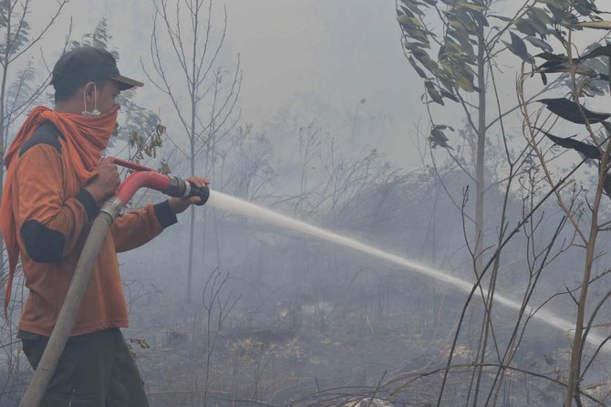 pemadaman kebakaran hutan