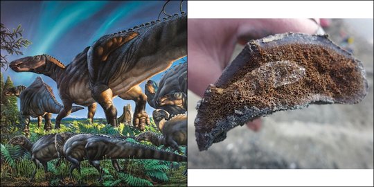 Dinosaurus misterius di temukan di Alaska, mirip bebek raksasa