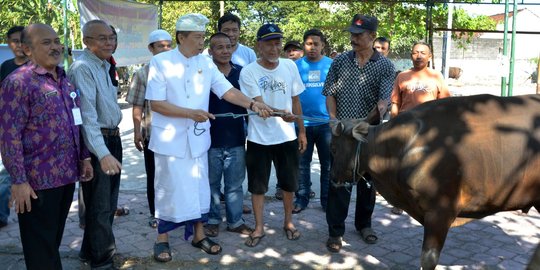 Gubernur Bali sumbang tiga ekor sapi untuk Idul Adha 