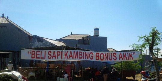 kurban gratis batu akik rev1
