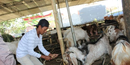 adha salon kambing banjir order rev1