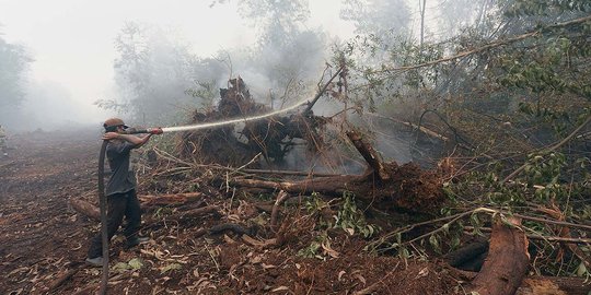 Bakar lahan, eks anggota DPRD Kampar dan seorang PNS diciduk polisi