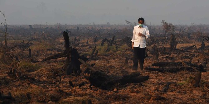 Aksi Jokowi tinjau langsung kebakaran hutan di Kalimantan