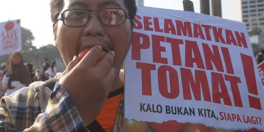 Solusi Mentan Amran agar tomat petani tidak dibuang percuma