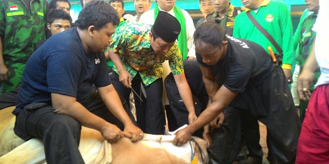 PPP kubu Romi bagikan daging kurban ke ponpes & majelis 