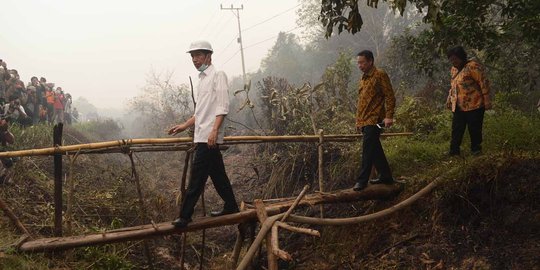 Aksi Jokowi terus pantau pemadaman lahan gambut di Kalimantan