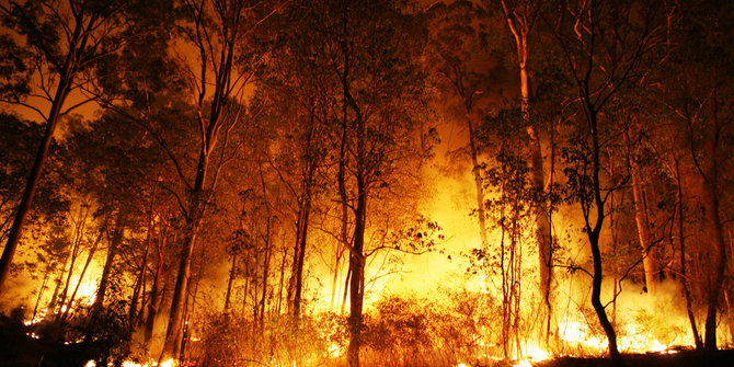 Kapolda Sumsel sebut ada tersangka baru kasus pembakar lahan