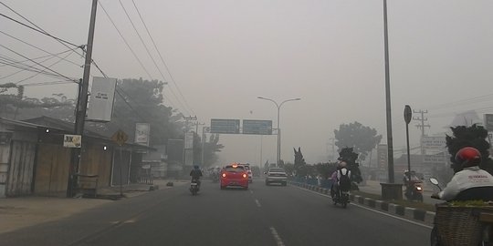 Polisi sidik 6 perusahaan penyebab kabut asap di Riau