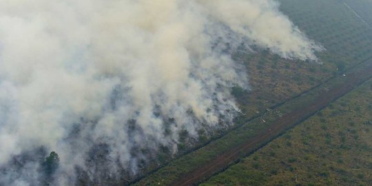 57 Orang jadi tersangka karhutla di Riau, 15 perusahaan disidik