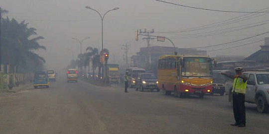 Akibat kabut asap, pendapatan hotel di Palembang turun 20 persen